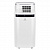 Мобильный кондиционер Electrolux EACM-22 JK/N3 Ice Column в ДНР (Донецке)